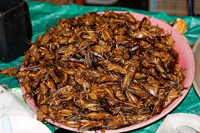 Chiang Rai-Marche-023